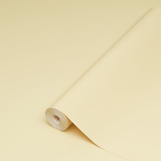 Klebefolie Uni Lack natur image number null